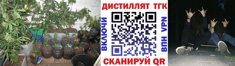 где продают наркотики  Маркс  даркнет формула  ТГК гашишное масло 