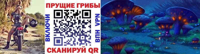 цены   Маркс  Галлюциногенные грибы мицелий 