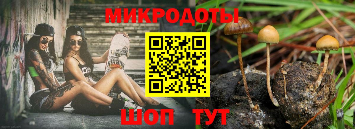 Маркс  Галлюциногенные грибы GOLDEN TEACHER  Вход с VPN 